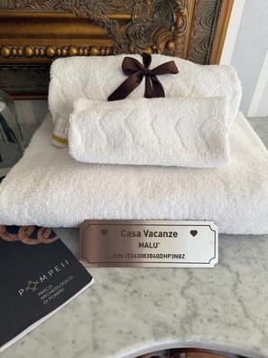 Regadera, secadora de cabello, bidet, toallas 