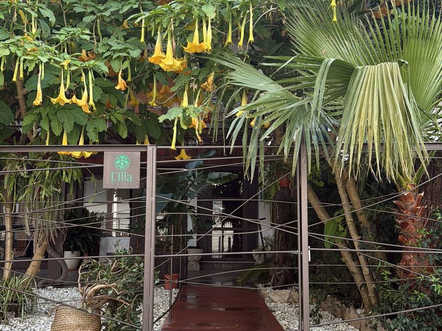 Entrada de la propiedad