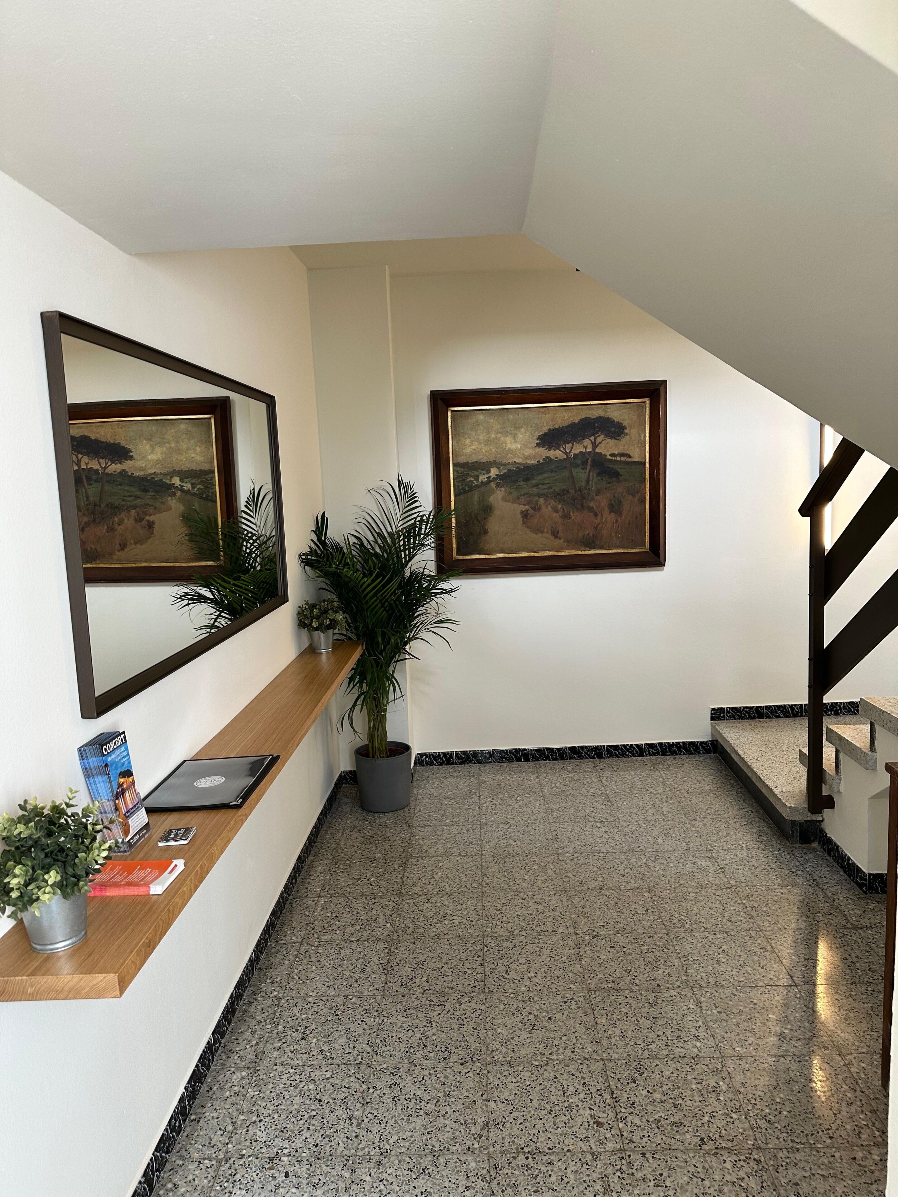 منطقة الاستقبال