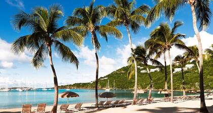 Great Views - Westin St John - 2BR Virgin Grand Villa