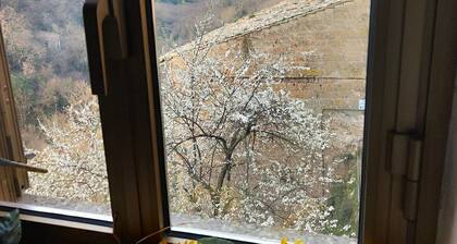 Casa sulla Scarpata in the center of Vignanello