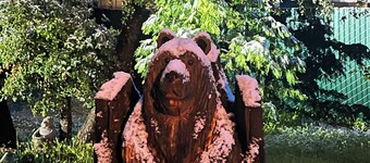 Cozy 3-bedroom cabin in tranquil Wishon at Bass Lake near Yosemite National Park