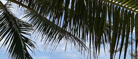 Lettini da mare, teli da spiaggia