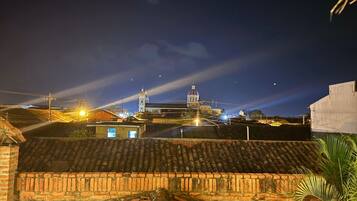 City view from property