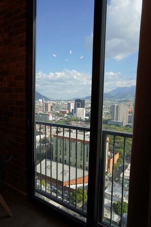 Appartamento Deluxe, balcone, vista città | Vista dalla camera
