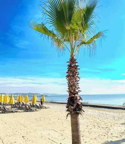 Beachfront apartment with stunning sea view – perfect for a relaxing getaway!