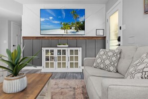 Smart TV, fireplace, books