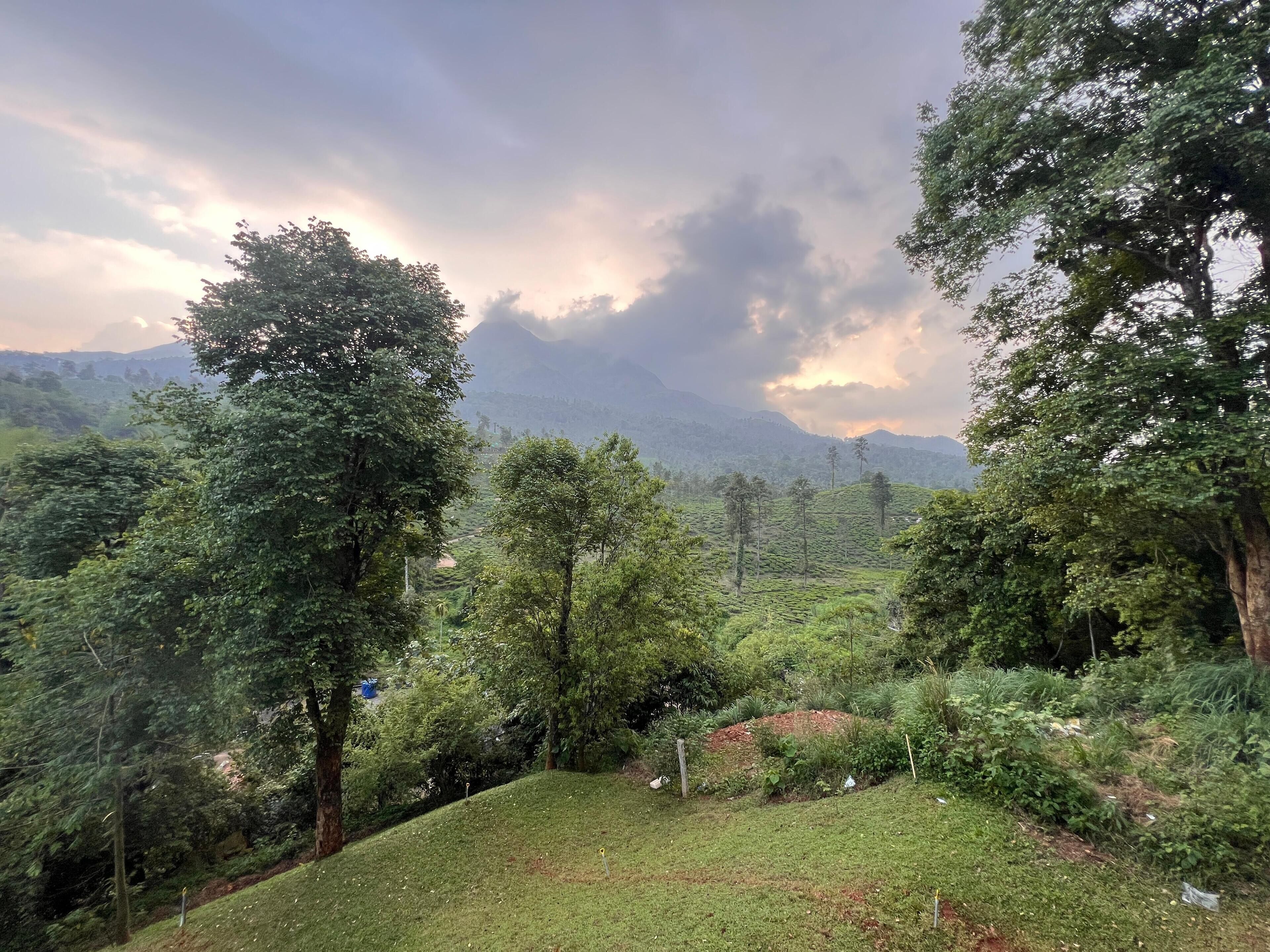 A lush green landscape with trees and a hilly terrain.