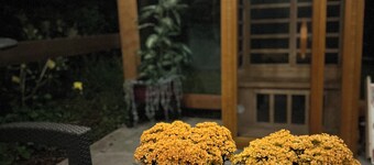 The best room to relax