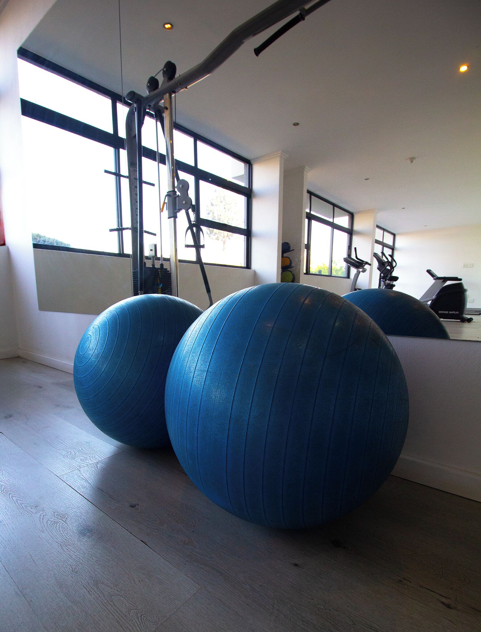 A gym with exercise balls, a treadmill, and a stationary bike.