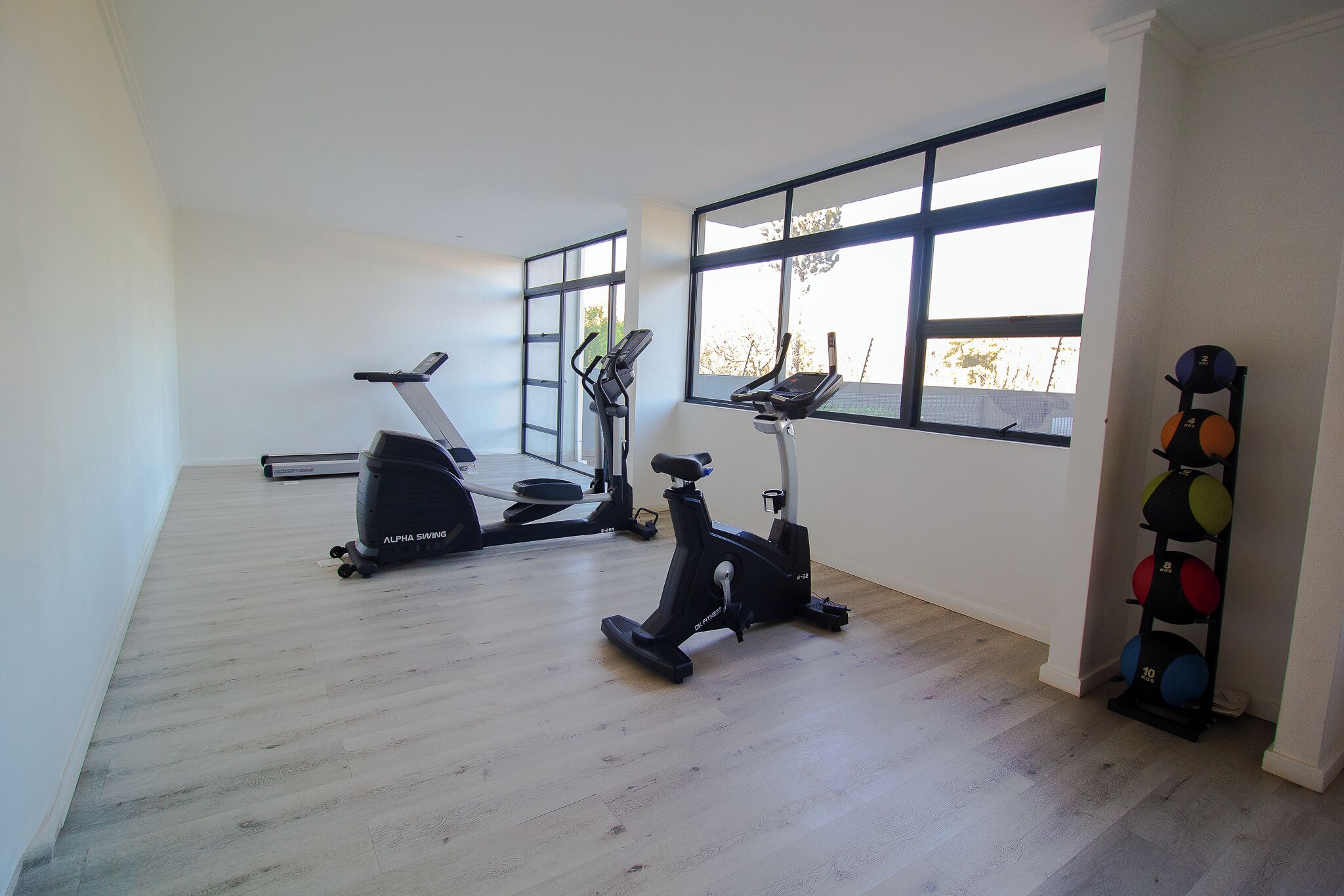 A gym with two stationary bikes, a treadmill, and a set of medicine balls.