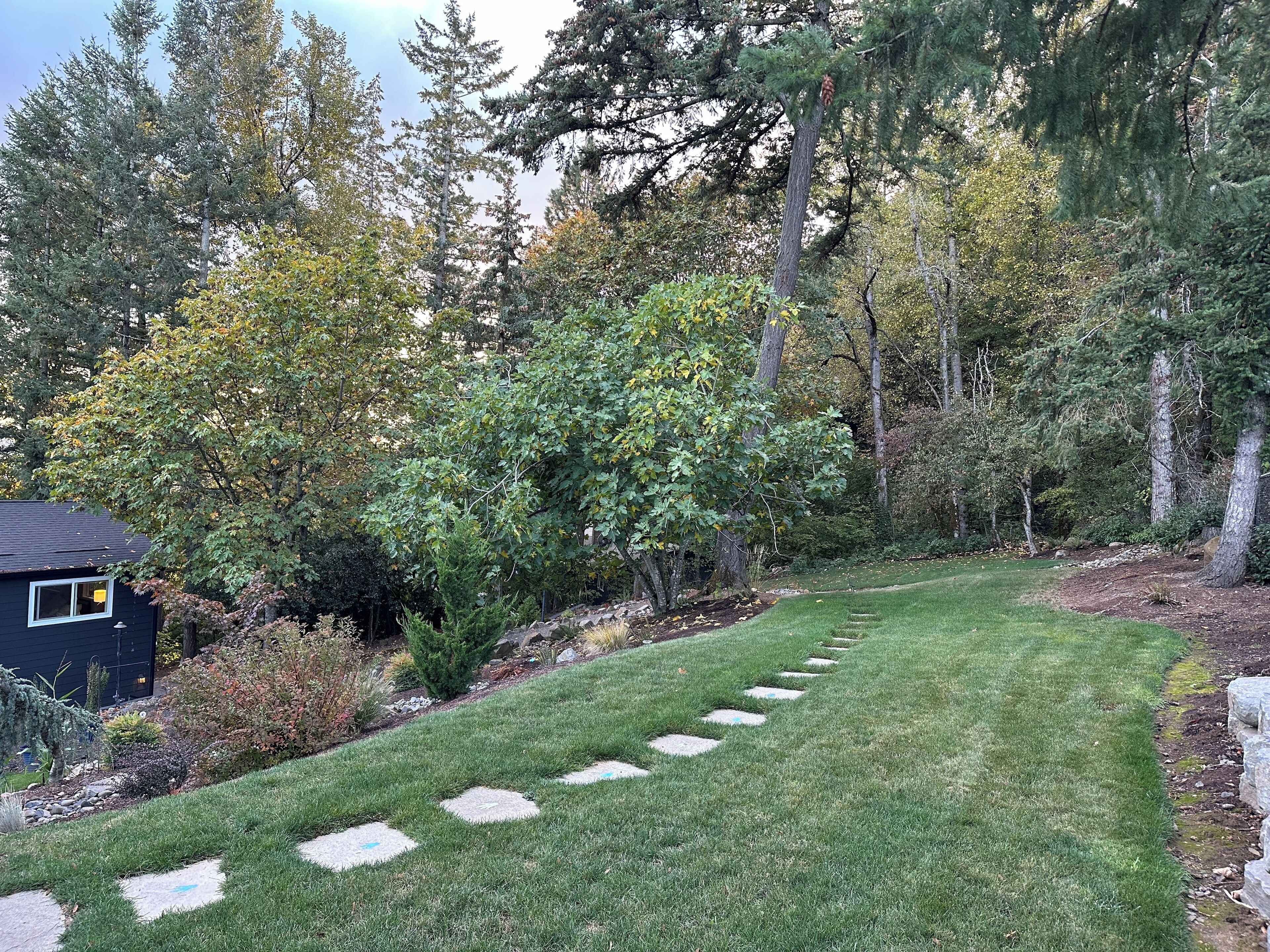 Un jardin bien entretenu, avec un chemin de pierres menant à une maison.