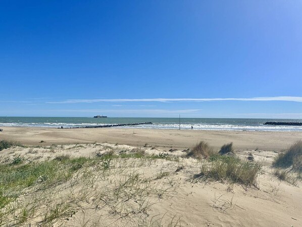 Nära stranden