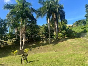 Property grounds - OCEAN VIEW PARADISE (Luquillo)