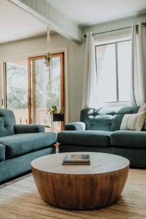 Smart TV, fireplace, books