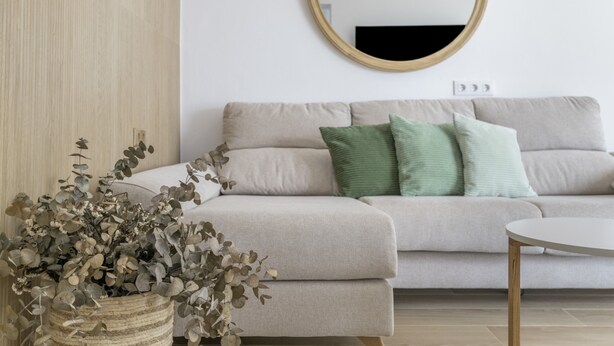 Una sala de estar con un sofá, un espejo redondo y una planta.