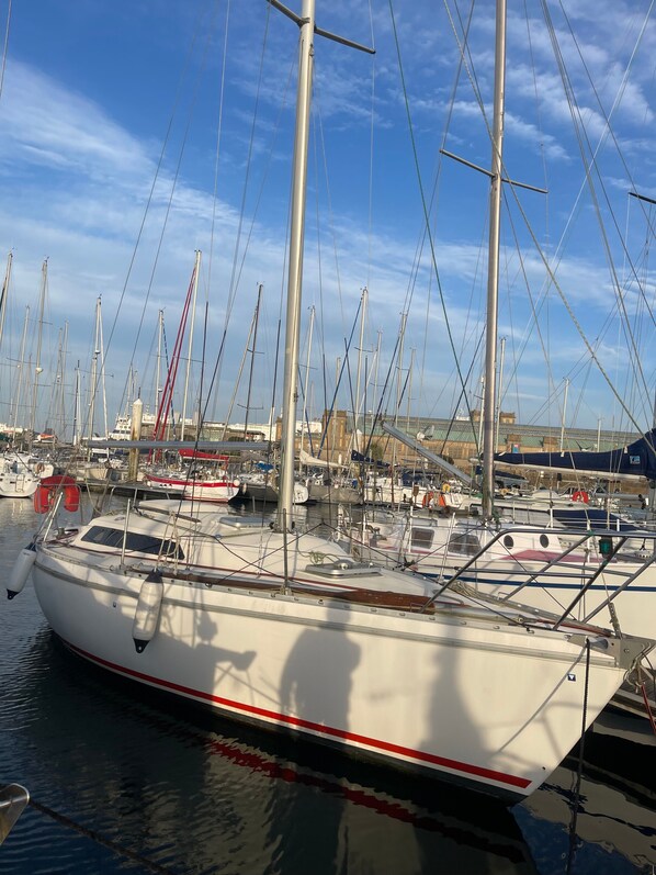 A marina with multiple sailboats docked, a clear sky, and a distant building.