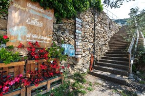 Uma escadaria de pedra que leva a um edifício com uma placa de madeira e placas de sinalização.