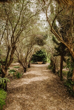 Property grounds - Country House 'La Carrasca' with Private Pool, Private Terrace and Wi-Fi (Catral)