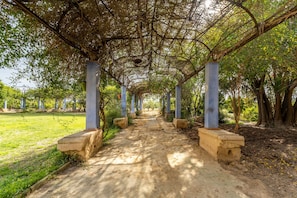 Property grounds - Country House 'La Carrasca' with Private Pool, Private Terrace and Wi-Fi (Catral)