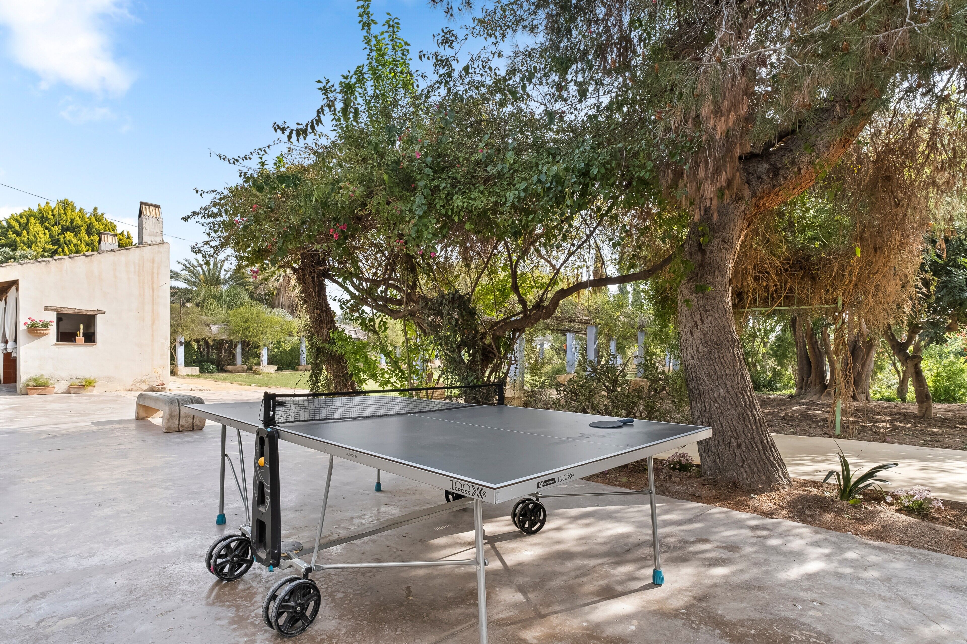 Una mesa de ping pong instalada al aire libre, con un árbol y un edificio al fondo.