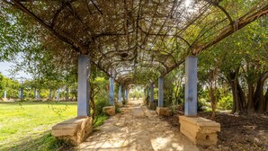 A pathway under a covered structure with stone pillars and greenery on either side. - Country House 'La Carrasca - Limón' with Shared Pool, Wi-Fi and Air Conditioning (Catral)
