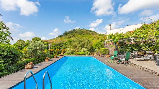 Una piscina rectangular con cubierta de madera, rodeada de exuberante vegetación y una colina al fondo.