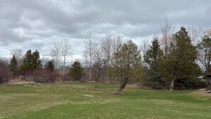 A grassy field with trees and a brick pathway.