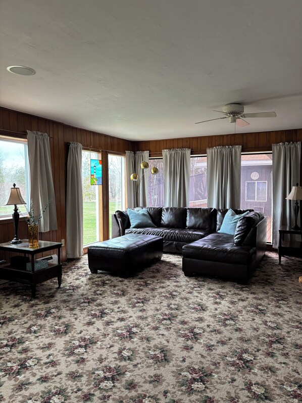 Smart TV, fireplace, DVD player, video library