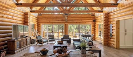 Fernseher, Kamin, Arbeitsbereiche