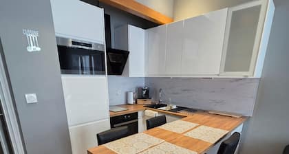Appartement centre Carmes