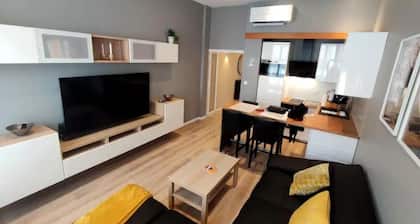 Appartement centre Carmes