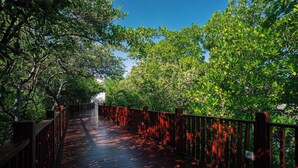 A wooden bridge with a metal railing, surrounded by lush green trees. - Charming seafront 2-bedroom apartment with AC, WiFi in delightful Santa Marta (Santa Marta)
