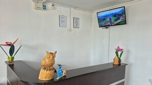 A reception desk with a flat-screen TV mounted on the wall, a wooden owl sculpture, and two potted plants.