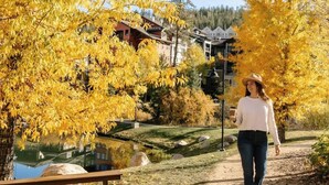 A person walking on a dirt path in a park with yellow trees and a building in the background.