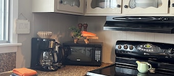 Truro , cozy and bright main floor- sleeps 5!