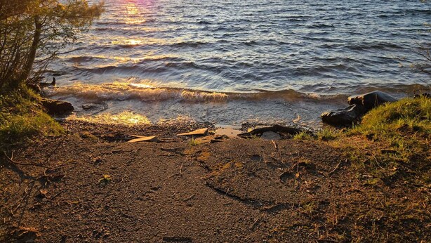 Una playa con un atardecer, costa rocosa y árboles.