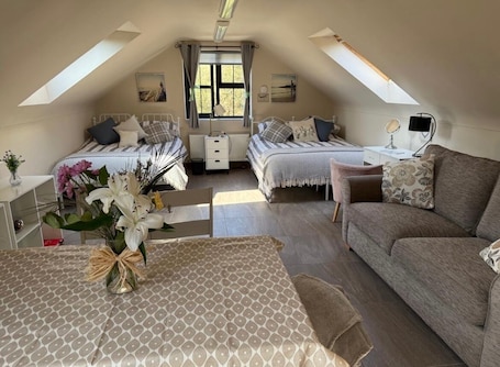 Iron/ironing board, WiFi, bed sheets. Omagh Studio b&b with Continental Breakfast Inc