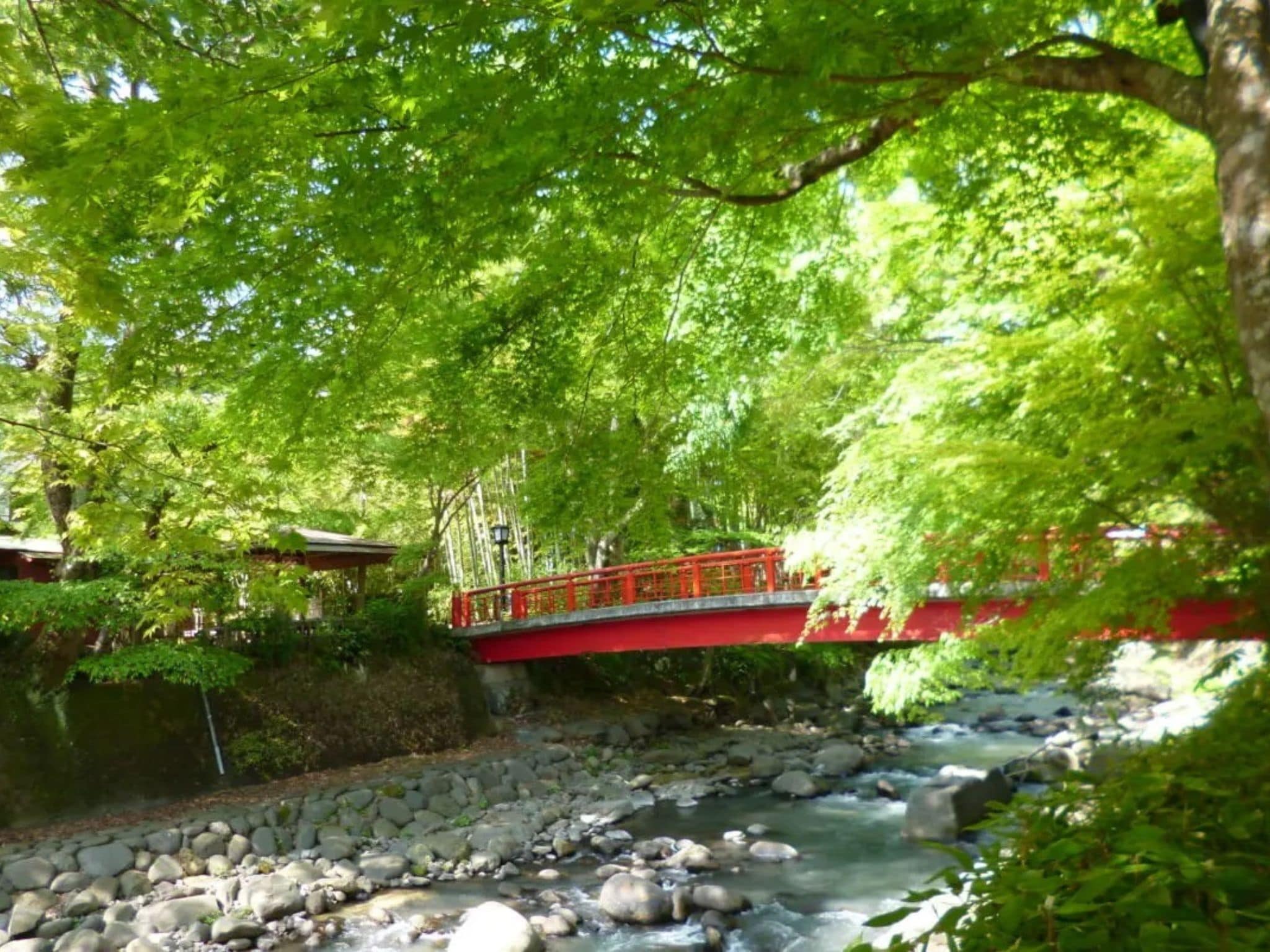Un puente rojo sobre un arroyo pedregoso en un bosque frondoso.