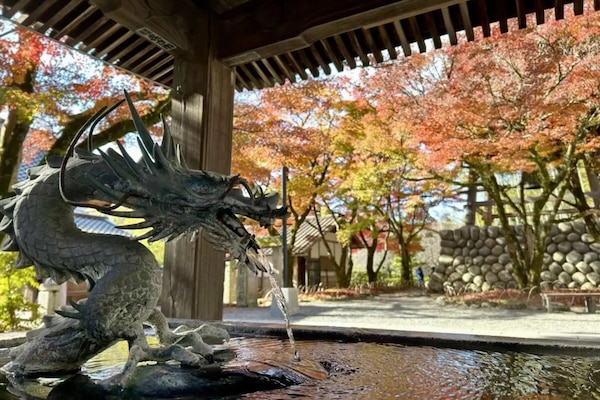 Land view from property