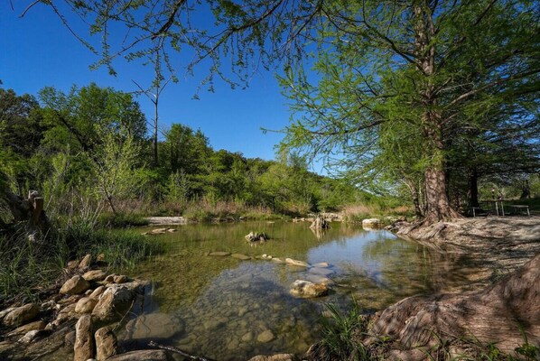 A natural landscape with a clear stream, surrounded by trees and rocks.