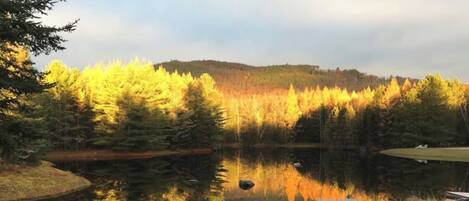 تناول الطعام بالخارج