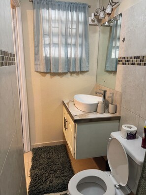 Secador de cabelo, toalhas de banho, sabonete, papel higiênico