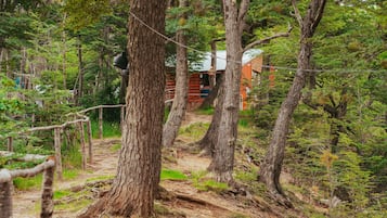 Área da propriedade