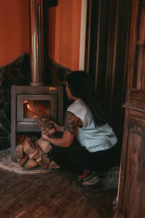 A person loading wood into a wood-burning stove.