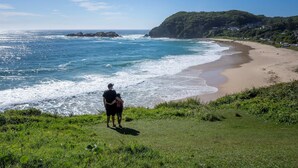 A beach with a grassy area, ocean waves, and a hill with buildings. - The Fog Getaway 2 by Tiny Away (Boolambayte)