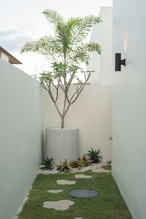 A narrow pathway with a tree in a planter, surrounded by small plants and stepping stones.