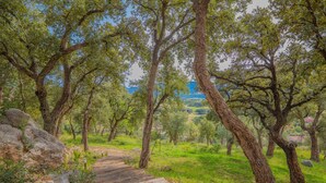 A wooden pathway in a wooded area with trees and a distant view of a town.