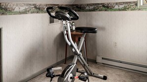 Un vélo d’appartement dans une pièce dont le plafond est en pente et sur un des murs est peinte une fresque représentant des cerfs.