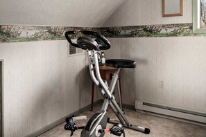 A stationary bike in a room with a sloped ceiling and a mural depicting deer on the wall.